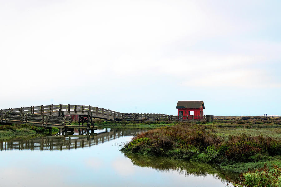 Wildlife Photograph - Bridge Reflections and Red Building by Lindsay Thomson