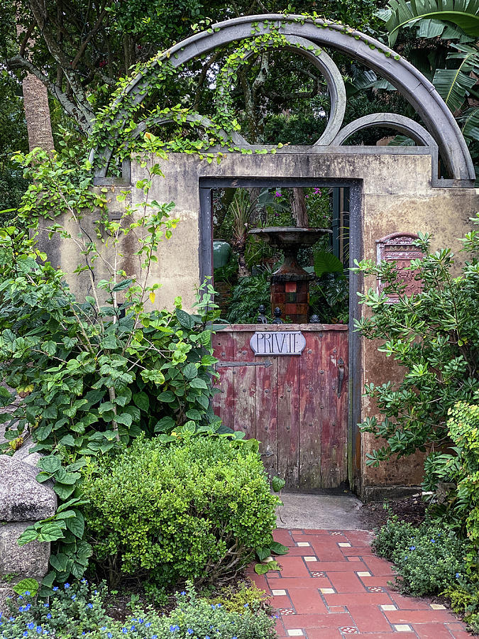 Bridge Street Garden Door, St. Augustine, Florida Photograph by Dawna Moore Photography