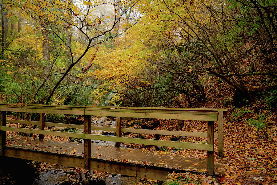 Bridge Surrounded by Fall Foliage Photograph by Cindy Robinson