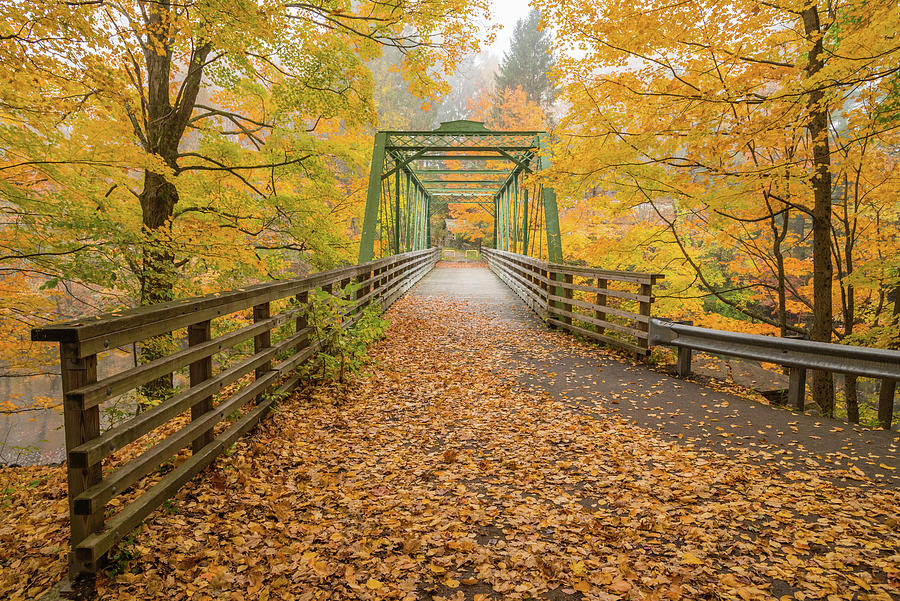 Bridge Photograph - Bridge with fall colors by Jatin Thakkar