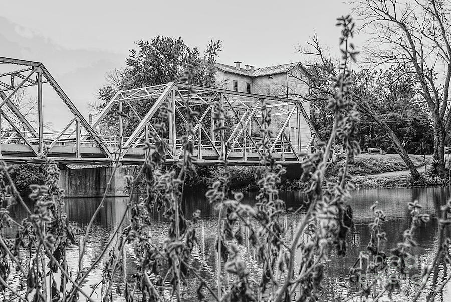 Bridge Through The Weeds Photograph by Jennifer White