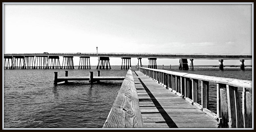 Bridge To Assateague State Park Photograph by Constance Lowery