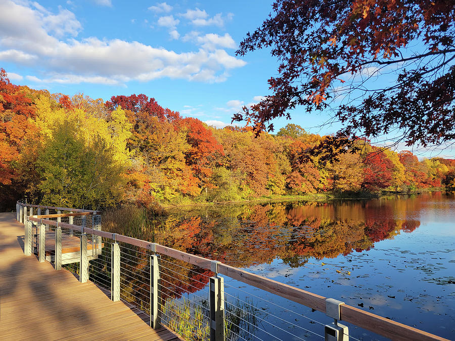 Bridge to Autumn Lebanon Hills Regional Park Eagan Minnesota Photograph ...