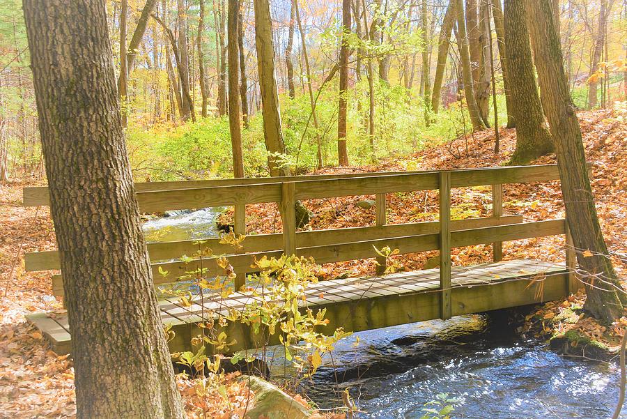 Bridge To Beauty Photograph By Melissa Mistretta - Fine Art America