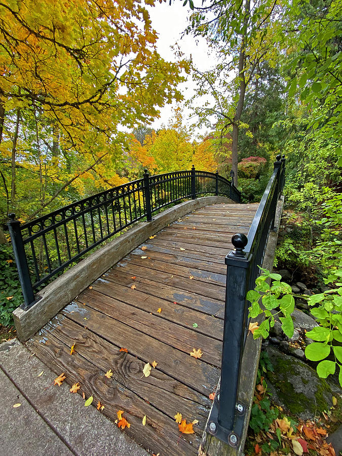 Bridge To Lithia Photograph by Howard Paulson