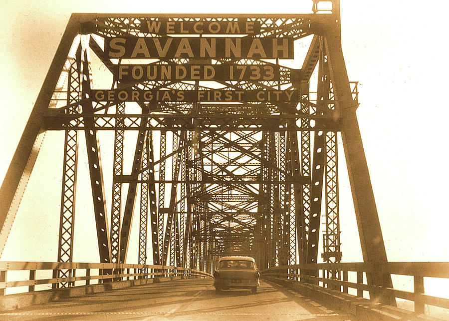 Bridge To Savannah Photograph by Jamart Photography