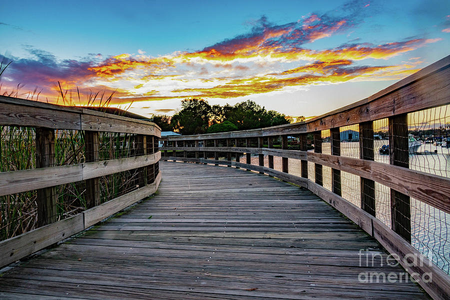 Bridge to Sunset Digital Art by Timothy OLeary