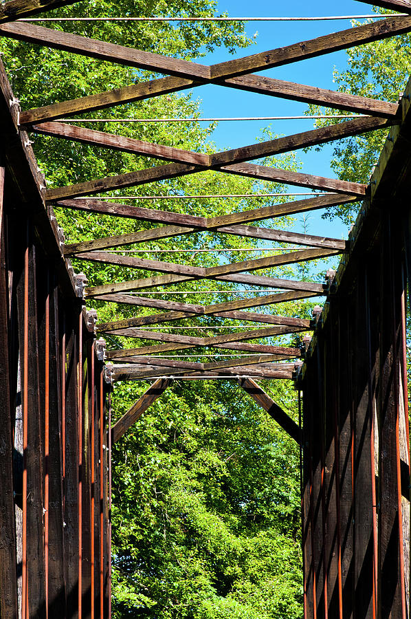 Bridge Trellis Photograph by Tara Krauss