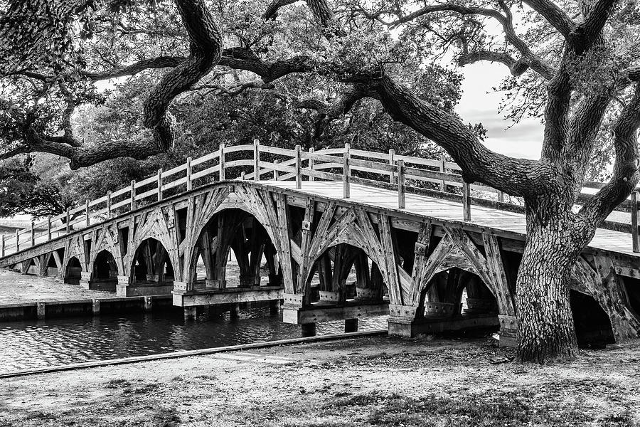 Bridge Under the Oak Photograph by Terri Morris