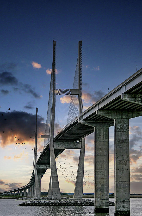 Bridge Vertical Photograph by Darryl Brooks
