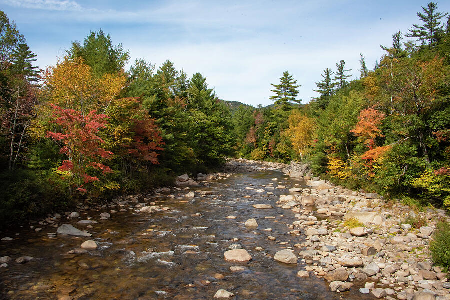 Bridge View of Swift River New Hampshire Photograph by Lea Rhea ...