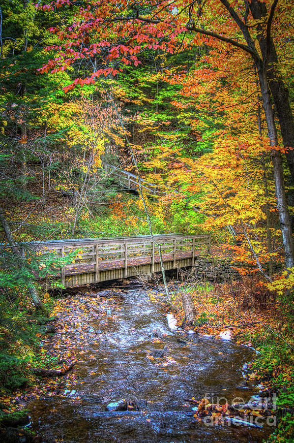 Bridges in Autumn Photograph by Deborah Klubertanz