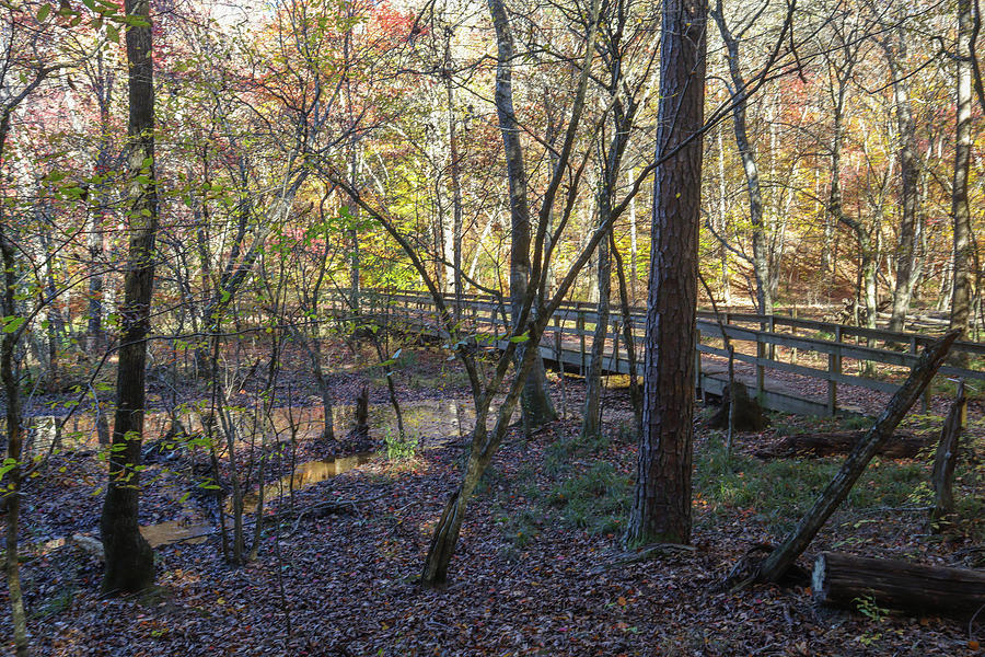 Bridging Autumn Photograph by Ed Williams
