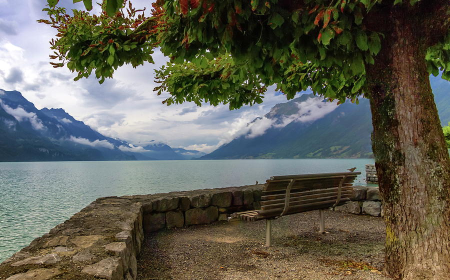 Brienz lake and Alps mountains, Switzerland Photograph by Elenarts - Elena Duvernay photo