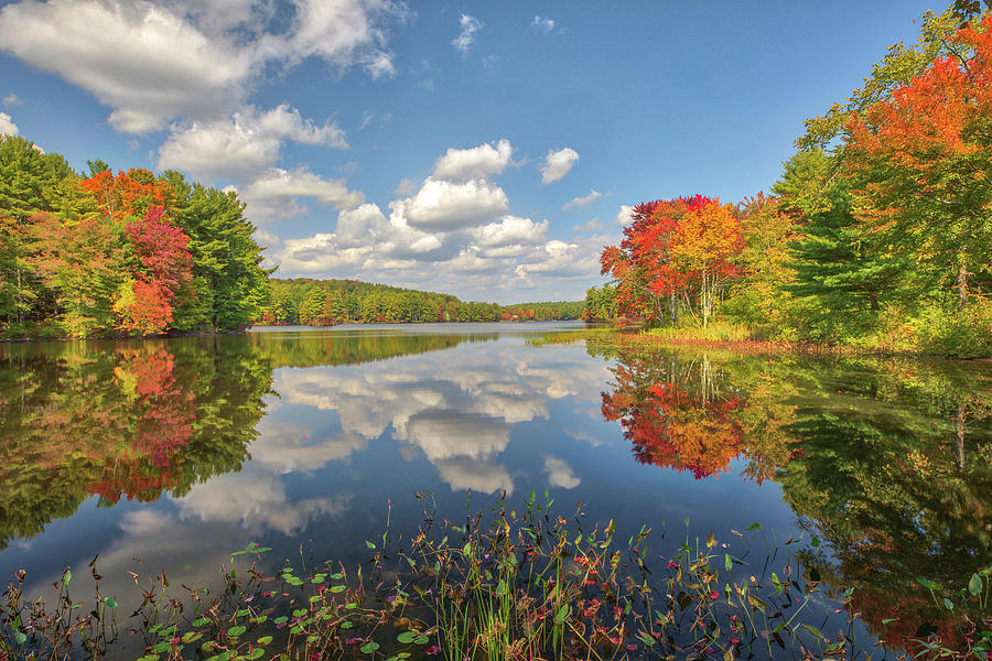 Brigham Pond in Hubbardston Massachusetts Photograph by Juergen Roth