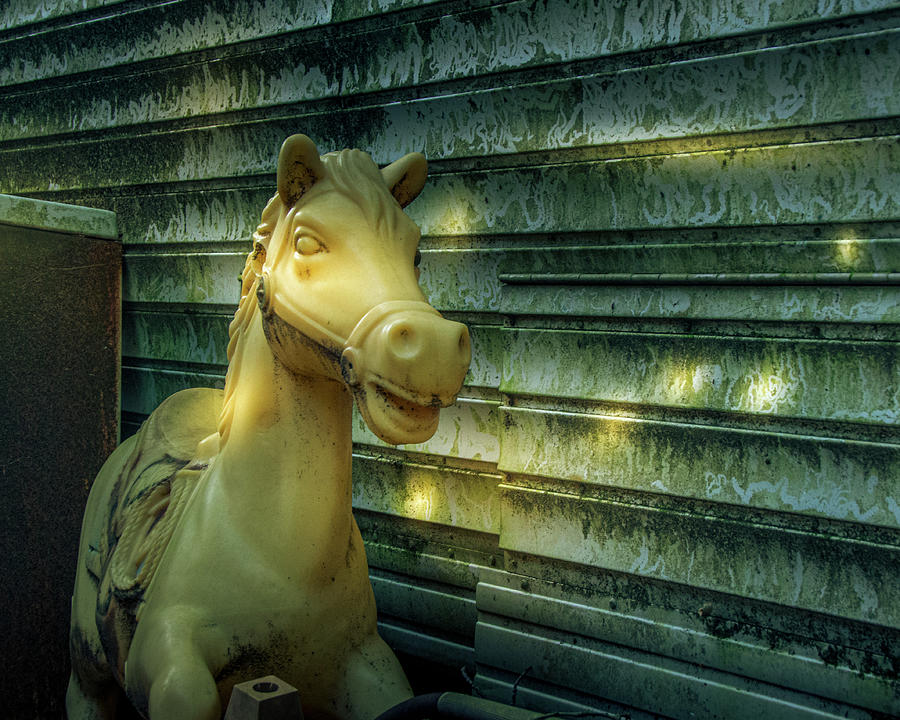 Bright Abandoned Hobby Horse Photograph by Kristia Adams