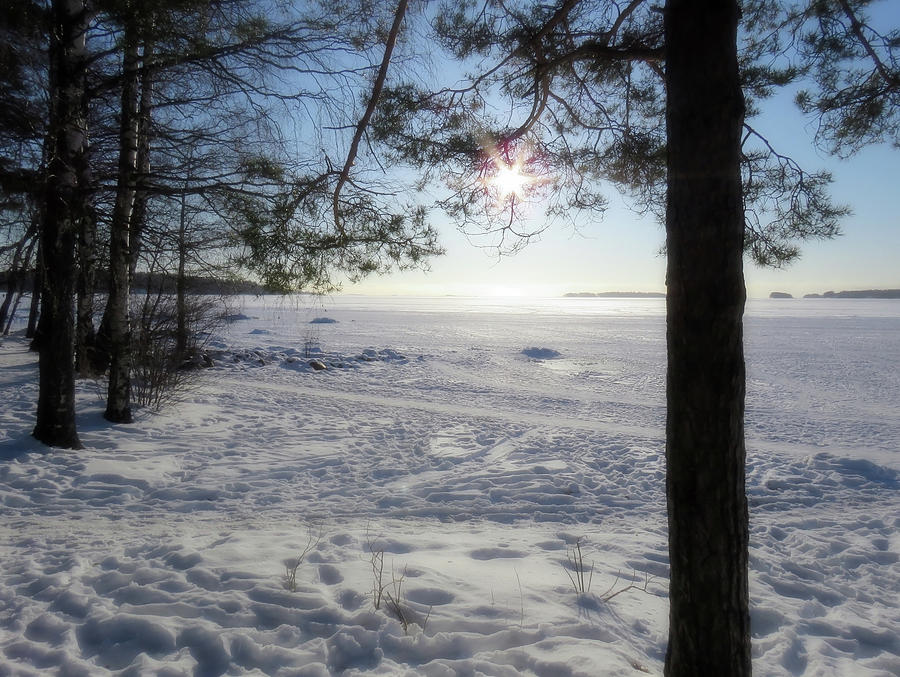 Bright And Snowy Winter Day Photograph by Johanna Hurmerinta