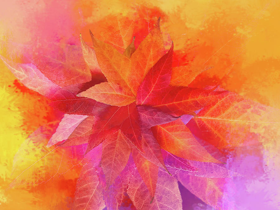 Bright Autumn Collage Digital Art by Terry Davis