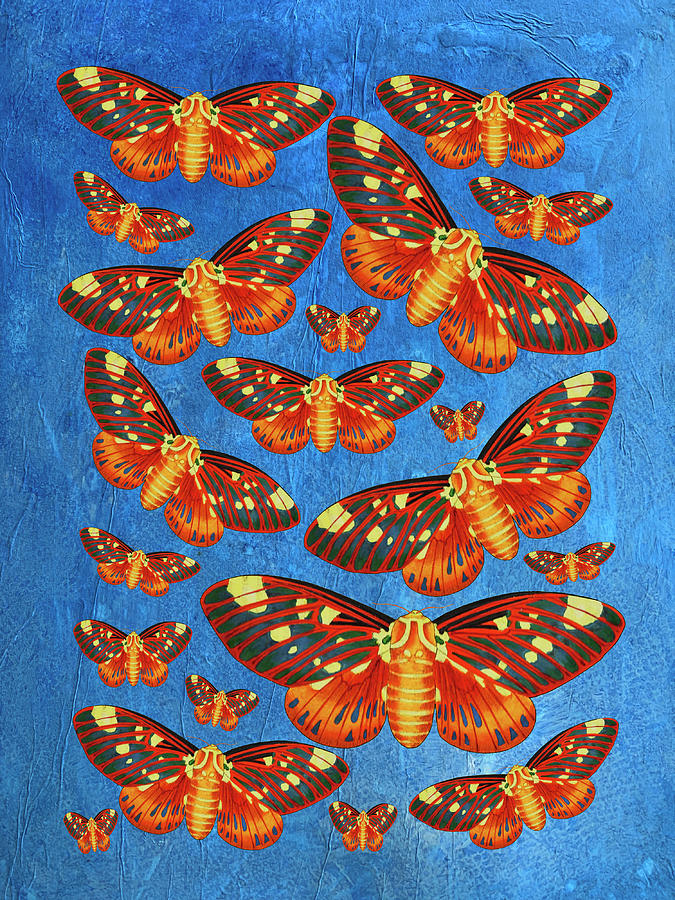 Bright Butterflies on Blue Mixed Media by Lorena Cassady