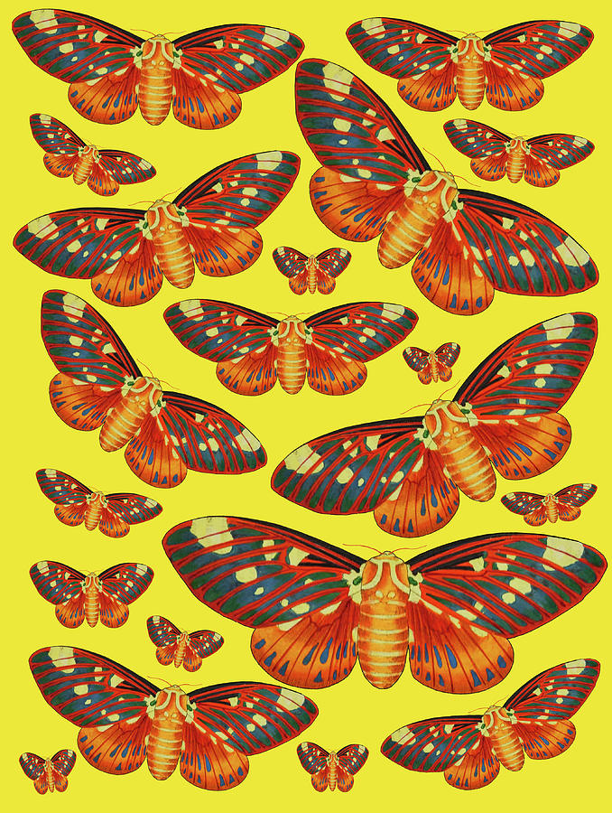 Bright Butterflies on Yellow Mixed Media by Lorena Cassady