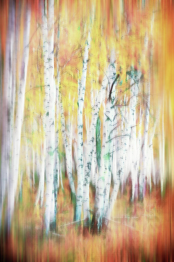 Bright Colored Birches Digital Art by Terry Davis