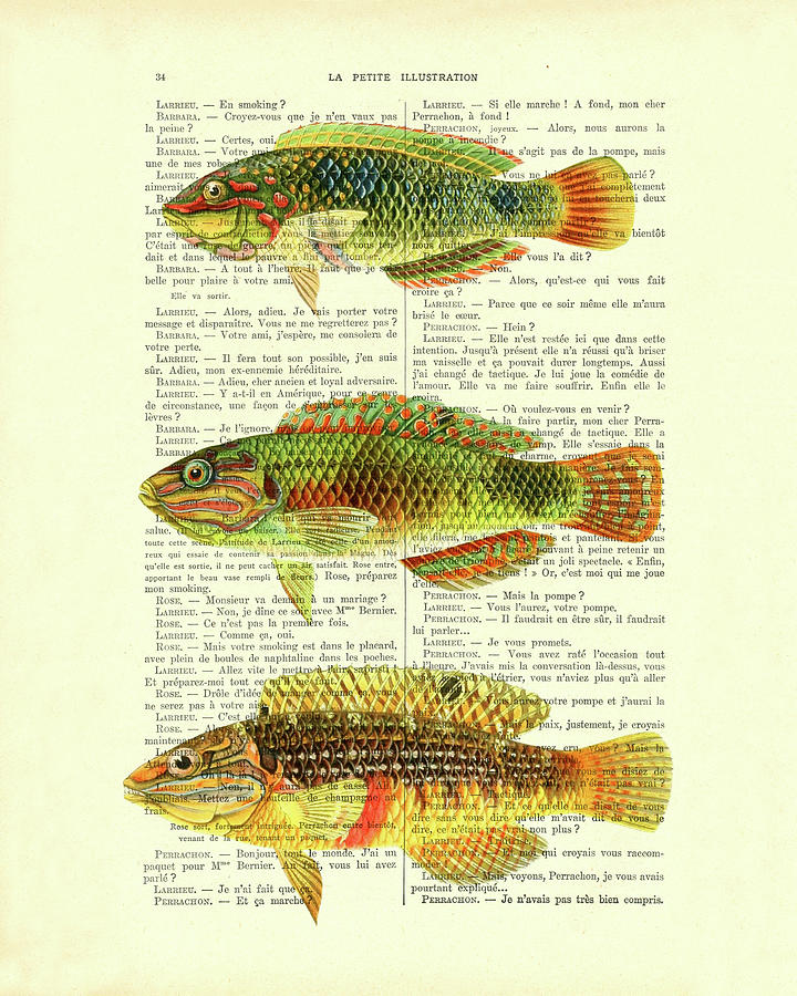 Fish Photograph - Bright colored fish chart art by Madame Memento