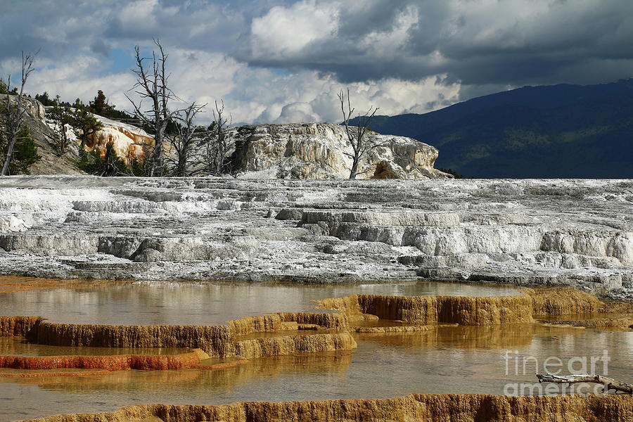 Yellowstone National Park Photograph - Bright Colors of Minerva Terrace  by Christiane Schulze Art And Photography