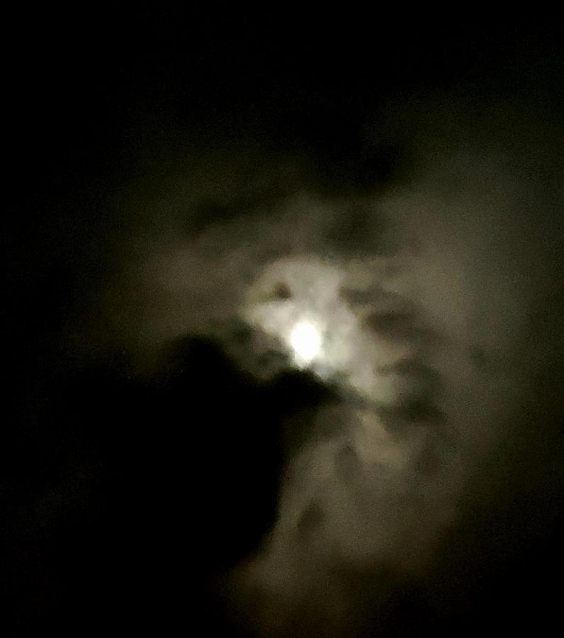 Moon Photograph - Bright dark night by F Daayf