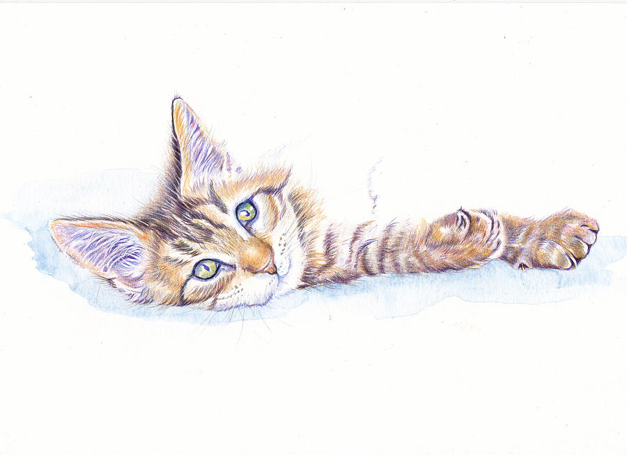Bright Eyes - Tabby Kitten Painting by Debra Hall