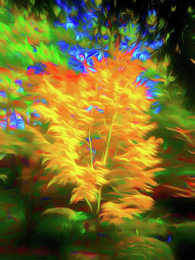Bright Fall Tree Abstract Digital Art by Mo Barton