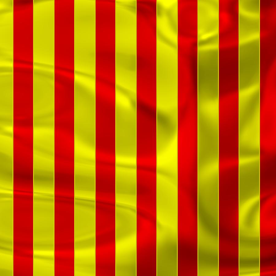 Bright Flag Sportive Red And Yellow Digital Art