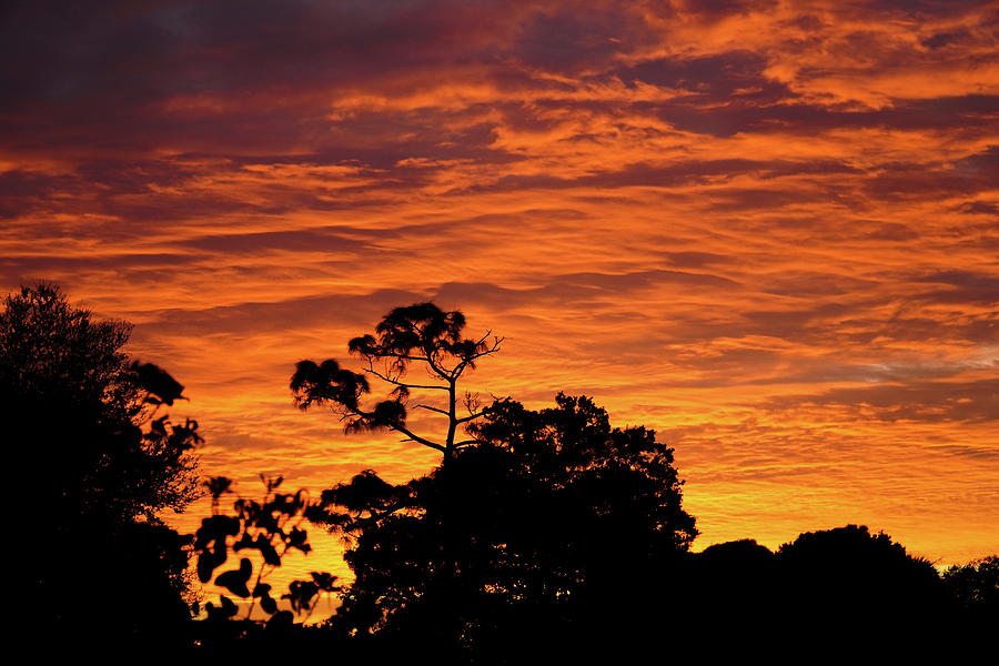 Bright Orange Sunrise Photograph by Anthony George Visuals - Fine Art ...