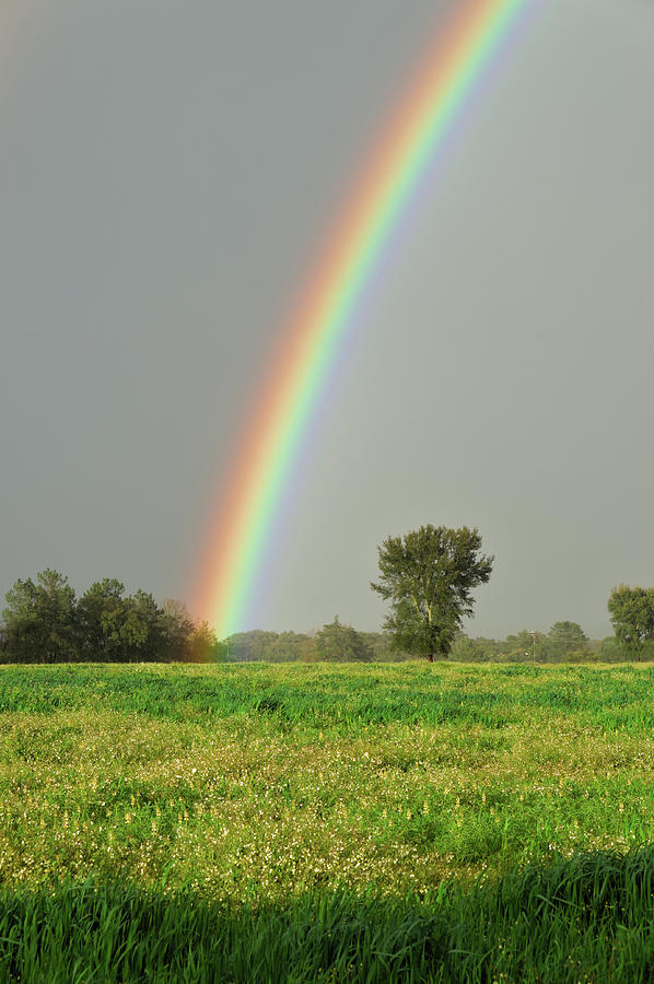 Bright Rainbow Over Farmland Photograph by Angelo DeVal