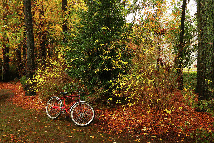 Bright Red Bicyclette Photograph by Ola Allen