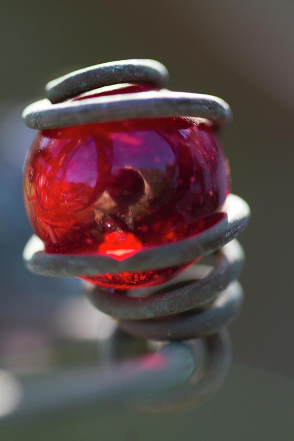 Bright Red Glass Marble Light Catcher Art Photograph by Kathy Clark