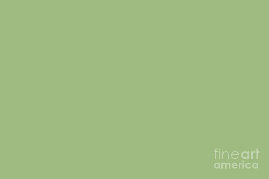 Bright Sage Dark Pastel Green Solid Color Pairs To Sherwin Williams Mesclun Green SW 6724 Digital Art by PIPA Fine Art - Simply Solid