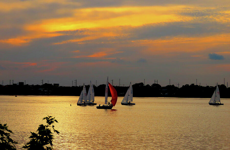 Bright Sails at Sunset Photograph by Linda Stern