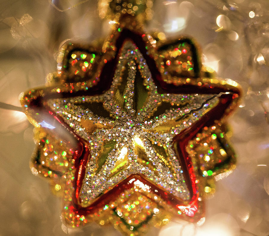 Bright Star by Lora J Wilson Bright Star by Lora J Wilson
