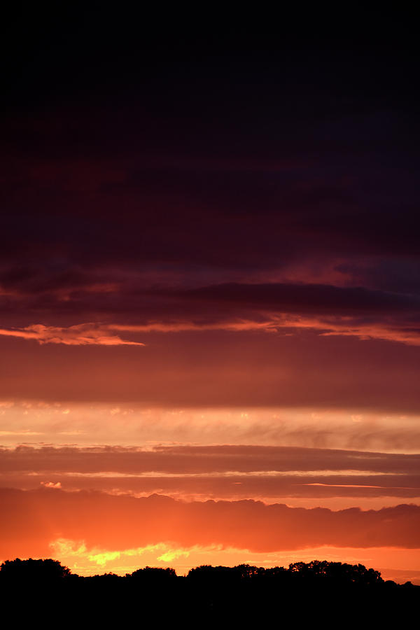 Bright sunset Stoborough Heath Wareham Dorset Photograph by Loren Dowding