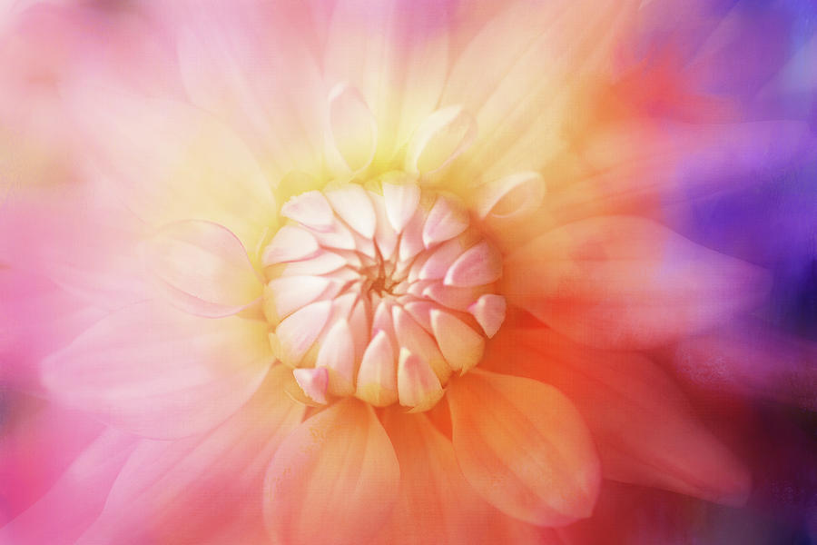 Summer Digital Art - Bright Textured Dahlia by Terry Davis