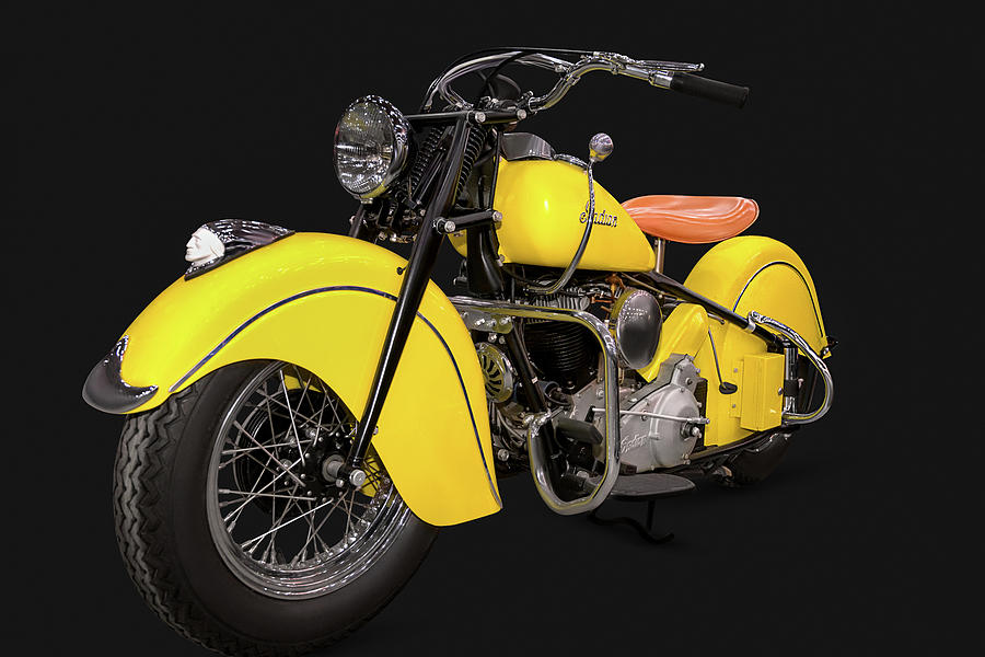 Bright Yellow Indian Photograph by Andy Romanoff