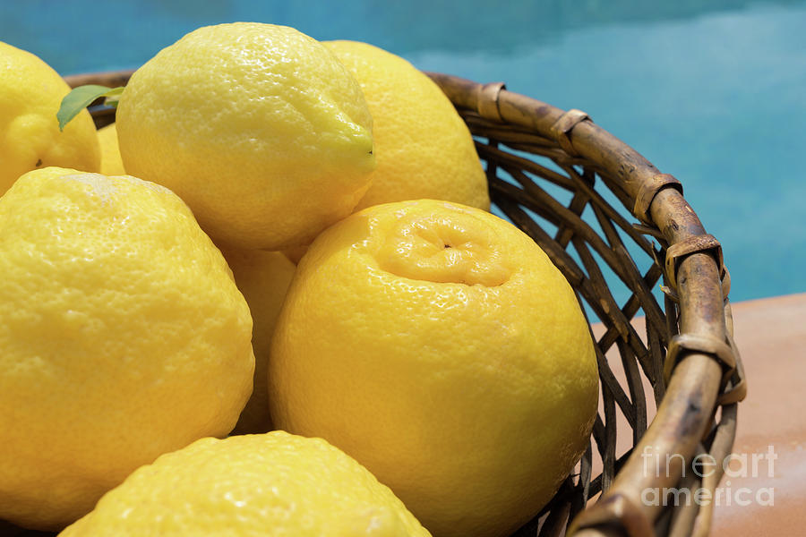 Bright yellow lemons in a basket by the pool Photograph by Adriana Mueller