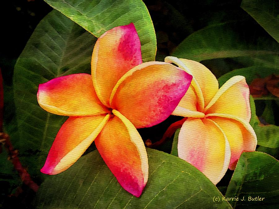 Bright Yellow Plumerias Painting by Karrie J Butler
