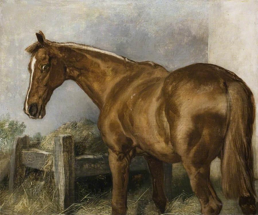 'Brilliant' A Horse at Manger Painting by Anonymous | Pixels