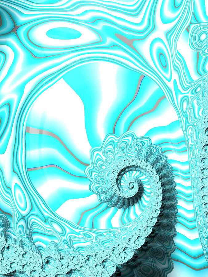 Brilliant Blue Fractal Nautilus Shell  Digital Art by Shelli Fitzpatrick
