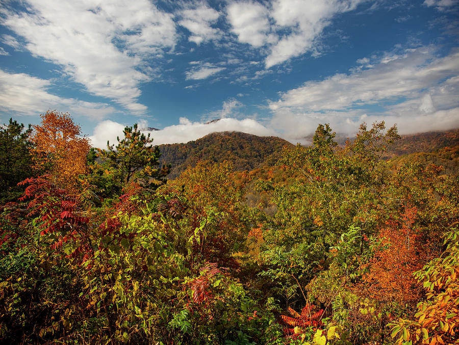 Brilliant Blue Ridge Autumn Colors Photograph by Dan Sproul