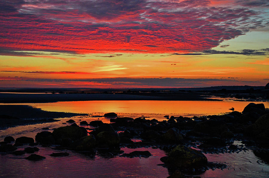 Brilliant Cape Cod Bay Sunrise Photograph by Dianne Cowen Cape Cod Photography