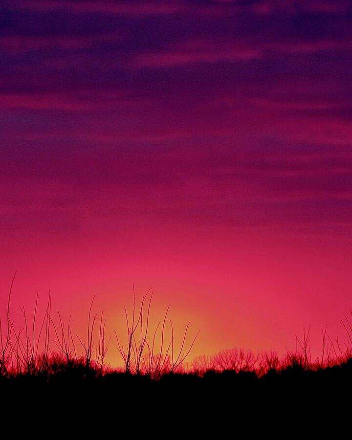 Brilliant Magenta Sunset Photograph by Sarah Lilja Brilliant Magenta Sunset Photograph by Sarah Lilja