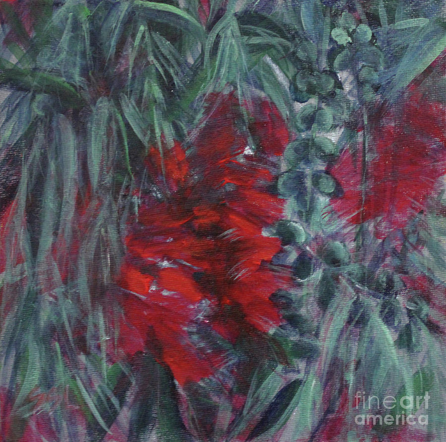 Brilliant Red Bottlebrushes-Weeping Bottlebrush Painting by Jane See