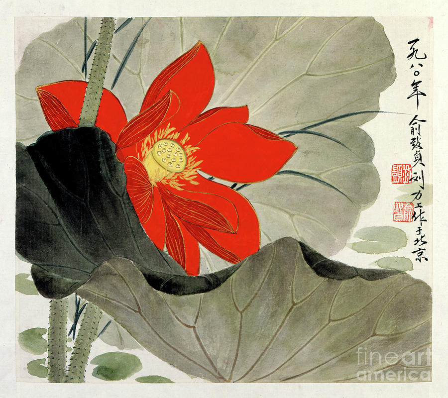  Brilliant Red Lotus Flower Painting by Yu Zhizhen